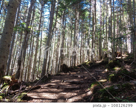 【群馬県】山の風景 108126299