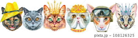 Border of portraits of cats of different breeds with accessories. Watercolor hand drawn illustration Border of portraits of cats of different breeds with accessories. Watercolor hand drawn illustration 108126325