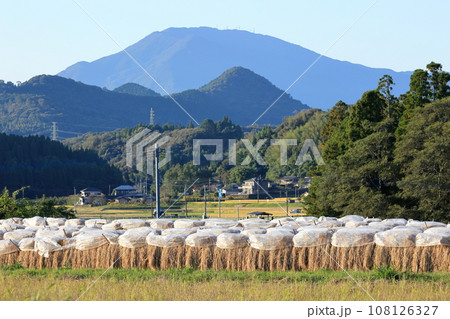 掛け干しと紫尾山　秋の風景 108126327