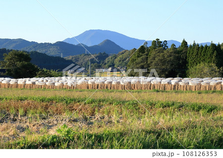 掛け干しと紫尾山　秋の風景 108126353