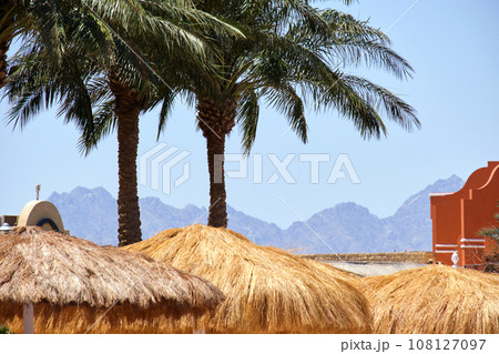 Straw shade umbrellas under green palm trees in tropical region against blue vibrant sky in summer 108127097