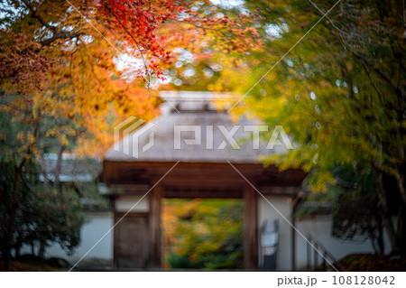 安楽寺の秋、数寄屋造りの山門を背景に、色づき始めのカラフルな紅葉を眺める、秋色の光の渦 108128042
