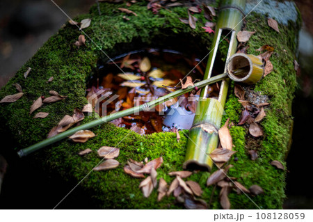 安楽寺の秋、苔むした手水鉢に散る落ち葉、深まる秋を感じさせる 安楽寺の秋、苔むした手水鉢に散る落ち葉、深まる秋を感じさせる 108128059