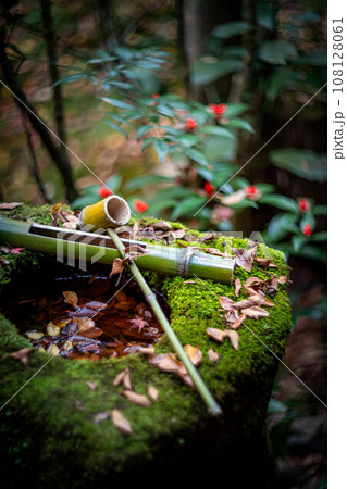 安楽寺の秋、苔むした手水鉢に散る落ち葉、深まる秋を感じさせる赤い実のコントラスト 108128061