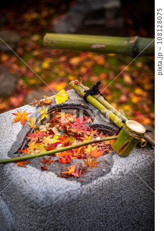 安楽寺の秋、地蔵堂のハート型の手水鉢に散るカラフルな落ち葉 安楽寺の秋、地蔵堂のハート型の手水鉢に散るカラフルな落ち葉 108128075