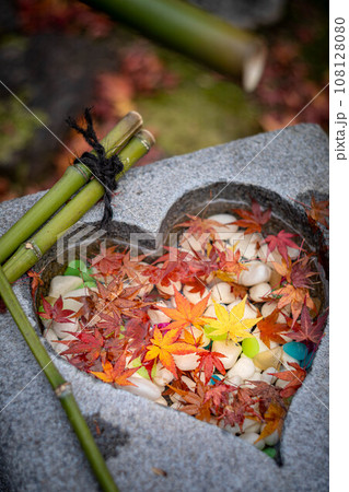 安楽寺の秋、地蔵堂のハート型の手水鉢に散るカラフルな落ち葉 安楽寺の秋、地蔵堂のハート型の手水鉢に散るカラフルな落ち葉 108128080