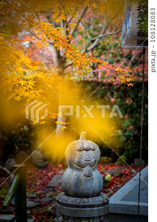 安楽寺の秋、地蔵堂の黄色とオレンジ色の紅葉と狛かぼちゃ阿形 安楽寺の秋、地蔵堂の黄色とオレンジ色の紅葉と狛かぼちゃ阿形 108128083