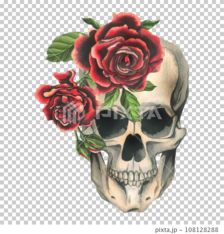 Human skulls with red roses and leaves. Hand drawn watercolor illustration. Isolated composition on a white background. 108128288