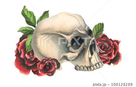 Human skulls with red roses and leaves. Hand drawn watercolor illustration. Isolated composition on a white background. 108128289