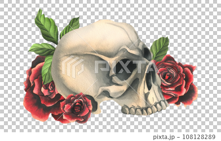 Human skulls with red roses and leaves. Hand drawn watercolor illustration. Isolated composition on a white background. 108128289