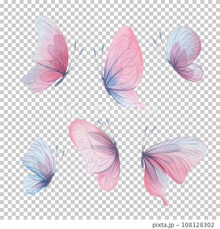 Butterflies are pink, blue, lilac, flying, delicate with wings and splashes of paint. Hand drawn watercolor illustration. Set of isolated elements on a white background, for design. 108128302