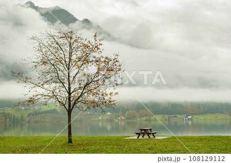 Moody autumn landscape with bare tree and lonely bench on mountain lake shore. Moody autumn landscape with bare tree and lonely bench on mountain lake shore. 108129112