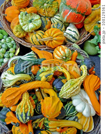 Pumpkins assortment Pumpkins assortment 108129361