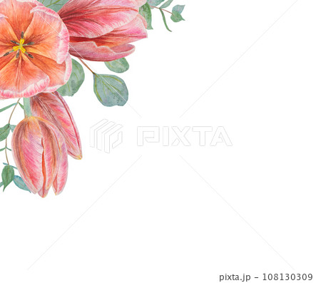 Watercolor hand drawn realistic botanical illustration of pink tulip flowers and eucalyptus branches frame, corners for your design, wedding print products, paper, invitations, cards, fabric, posters 108130309