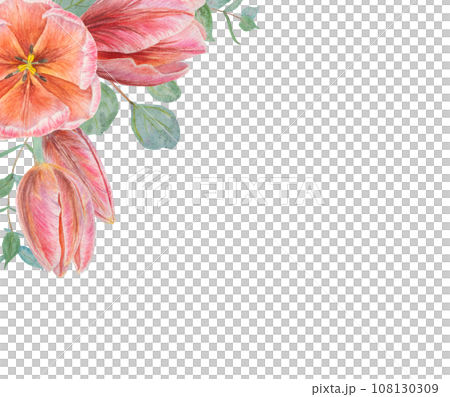 Watercolor hand drawn realistic botanical illustration of pink tulip flowers and eucalyptus branches frame, corners for your design, wedding print products, paper, invitations, cards, fabric, posters 108130309