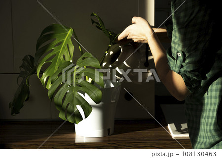 watering 108130463