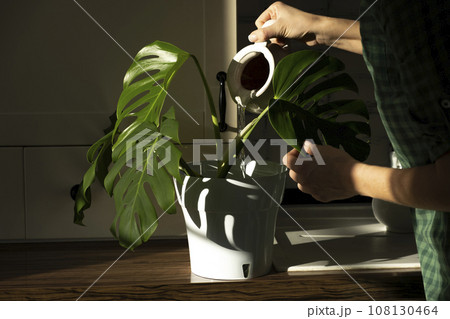 watering 108130464