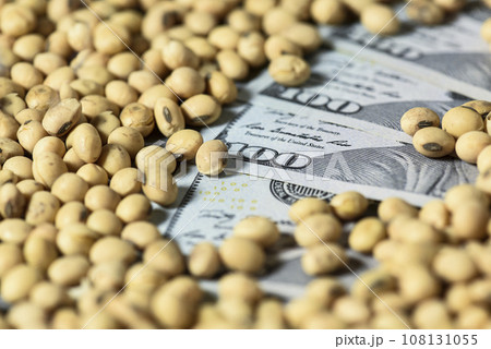 Dollars banknotes and coins and soy beans, commoditi value concept. 108131055
