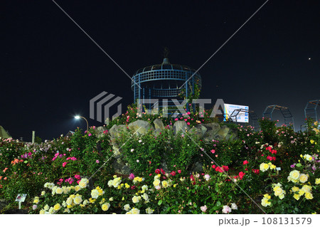 水俣エコパークバラ園 水俣エコパークバラ園 108131579