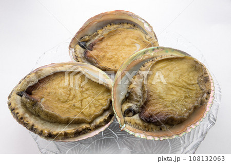 調理前の鮑貝 108132063