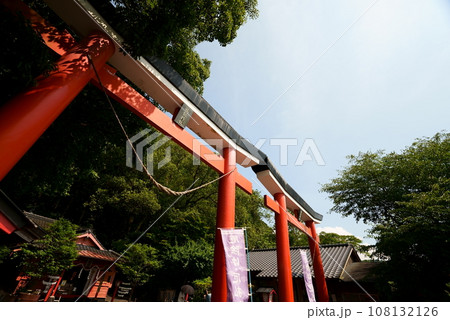 見上げる諏訪神社の鳥居 108132126