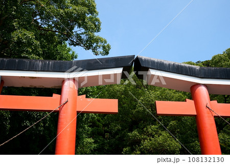 見上げる美しい並立鳥居 見上げる美しい並立鳥居 108132130