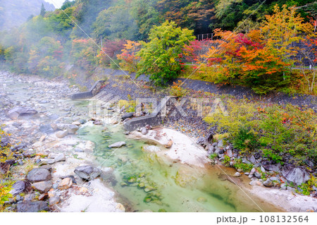 紅葉の高瀬川5 108132564