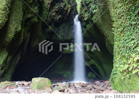 苔に覆われた長野滝の風景 108132595