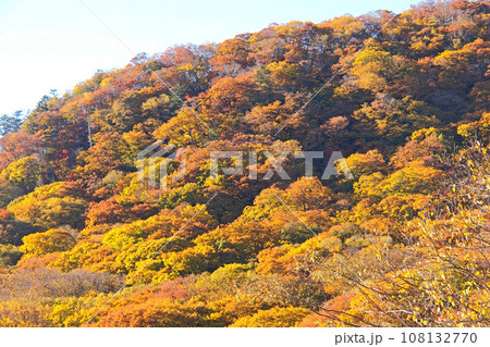 中禅寺湖ボートハウスからの紅葉【栃木県日光市】 中禅寺湖ボートハウスからの紅葉【栃木県日光市】 108132770