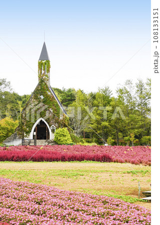 秋を迎えた高原の花々（牧歌の里） 108133151