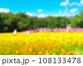 カラフルなコスモスの花畑イメージ 108133478