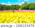 カラフルなコスモスの花畑イメージ 108133479