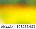 暖かな日差しの下、カラフルに咲く草花イメージ 108133483