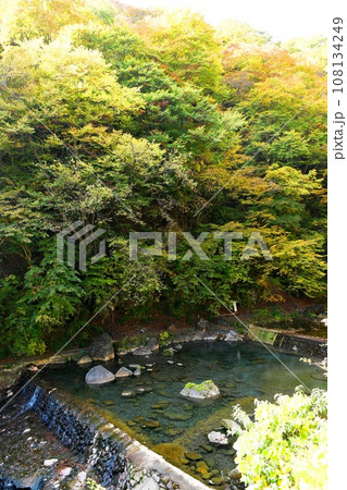 【中之条町 川底から温泉が湧き出す「尻焼温泉」長笹川の川風呂(野湯)】 【中之条町 川底から温泉が湧き出す「尻焼温泉」長笹川の川風呂(野湯)】 108134249