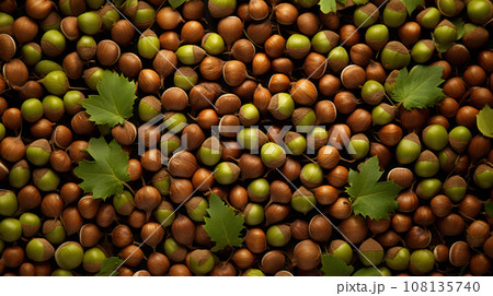 Heap of ripe freshness hazelnuts with green leaves in top view on dark background. High quality illustration Heap of ripe freshness hazelnuts with green leaves in top view on dark background. High quality illustration 108135740