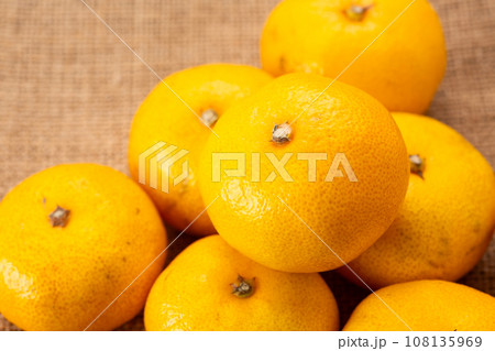 極早生みかん 108135969