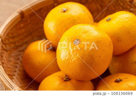 極早生みかん 108136069