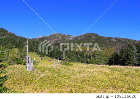坪庭(北八ヶ岳ロープウェイ山頂駅周辺) 坪庭(北八ヶ岳ロープウェイ山頂駅周辺) 108136620