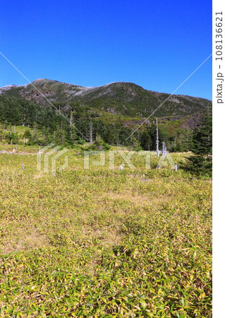 坪庭(北八ヶ岳ロープウェイ山頂駅周辺・縦構図) 坪庭(北八ヶ岳ロープウェイ山頂駅周辺・縦構図) 108136621