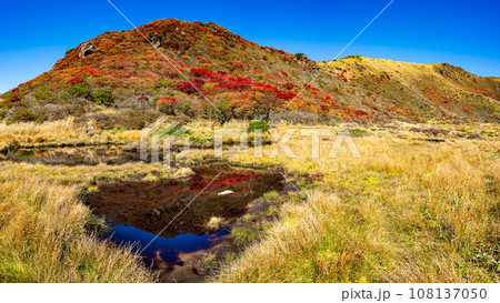 絶景 くじゅう連山 紅葉の秋2023 108137050