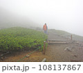 【悪天候】濃霧の中、山を登る男性 (ハイマツ生い茂る乗鞍にて） 108137867