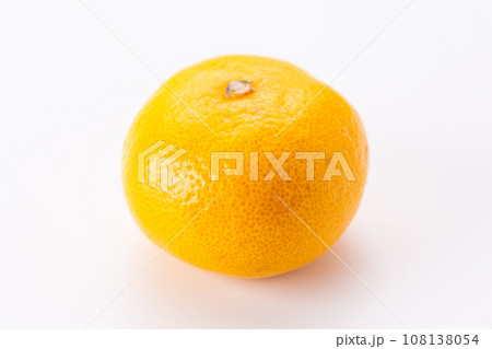 極早生みかん 108138054