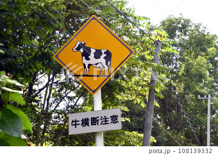 牛横断注意 108139332