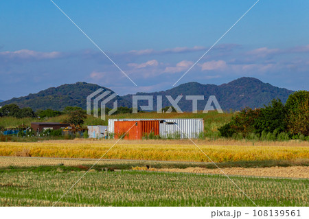 秋の田んぼ風景 秋の田んぼ風景 108139561
