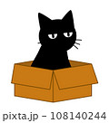 猫が箱に入っているイラスト 108140244