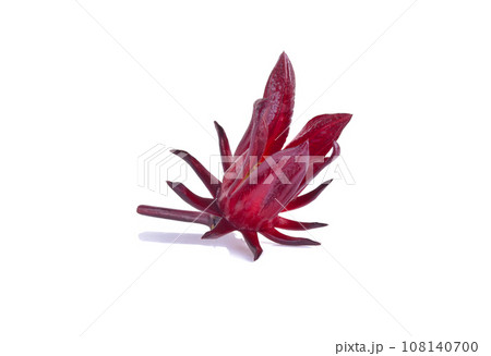 Roselle Hibiscus sabdariffa red fruit flower on white background. 108140700