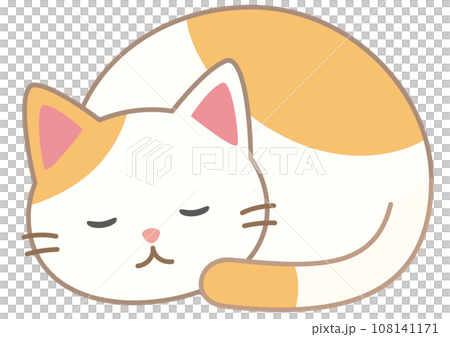 丸まって眠る猫 108141171