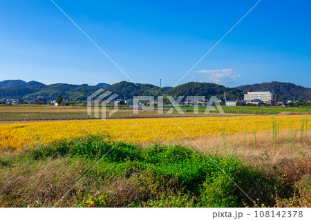 晴れた日の畑風景 108142378