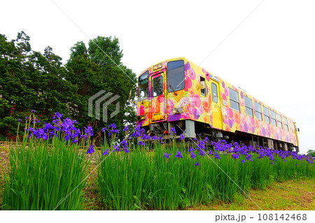 フラワー長井線　山形鉄道　あやめ 108142468