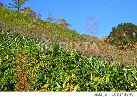 紅葉の季節　志賀草津高原ルートからの景色　　　　　 108143849